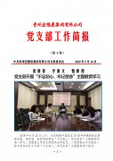 集團公司黨支部簡報 